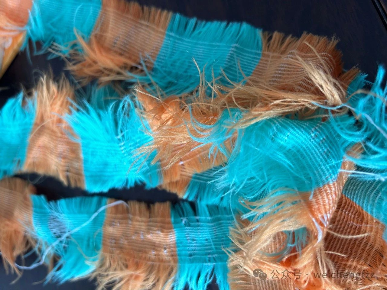 фото_20240418091901